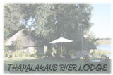 Thamalakane Lodge