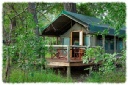 Camp Moremi Camp Moremi