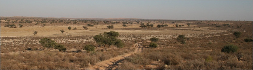 Nossob - Kgalagadi Transfrontier Park