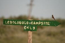 Lebolobolo Campsite, Central Kalahari Game Reserve Lebolobolo Campsite, Central Kalahari Game Reserve