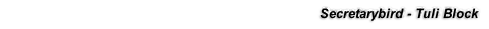 Secretarybird - Tuli Block
