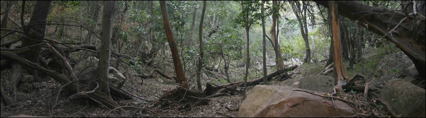 Phothophotho Gorge, Tswapong HIlls