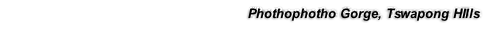 Phothophotho Gorge, Tswapong HIlls
