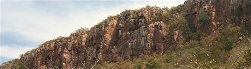 Gootau Cape Vulture Colony, Tswapong HIlls